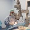 Anteprima - Clicca per ingrandire